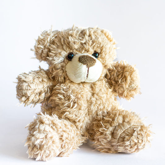 Plush Teddy Bear