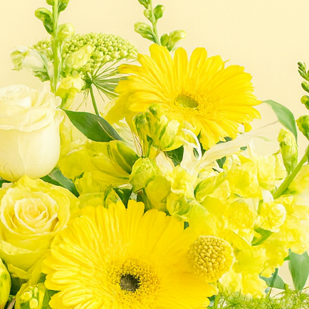 "Walking on Sunshine" Cheerful/Get Well Arrangement